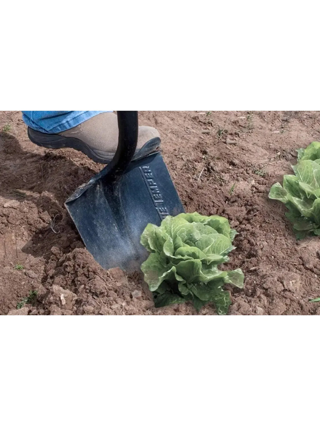 Forged Round Point Digging Shovel