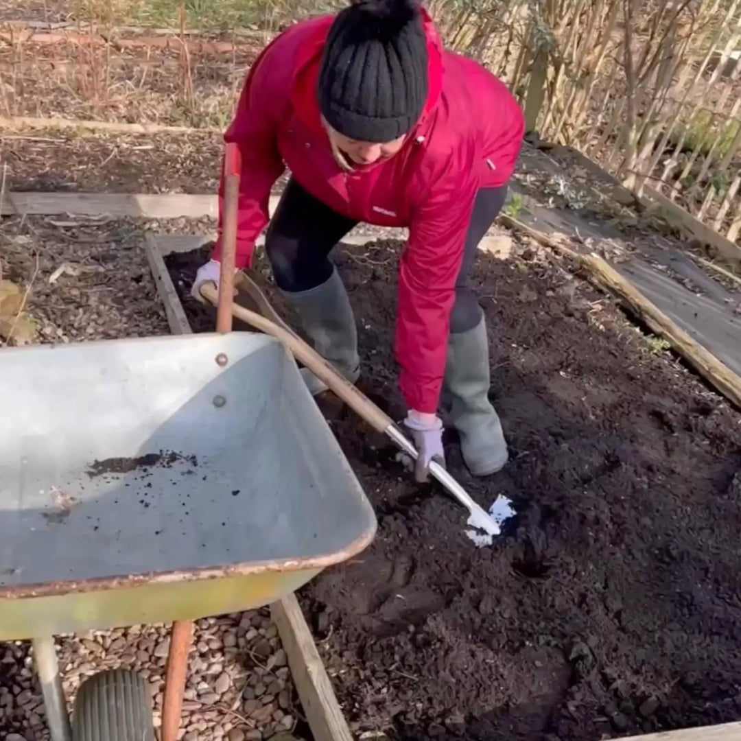 Treaded Stainless Steel Digging Spade, Ash Wood Handle Traditional Garden Tool for Efficient Soil Digging